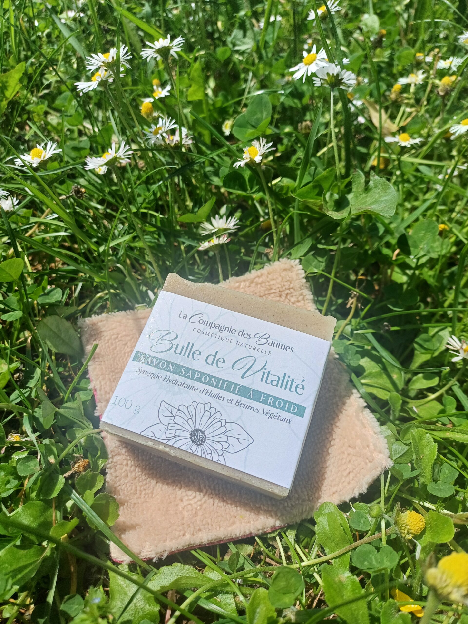 Bulle de vitalité – Image 8